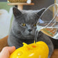 The steamy pet brush